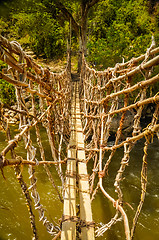 Image showing Bamboo bridge in Trikora