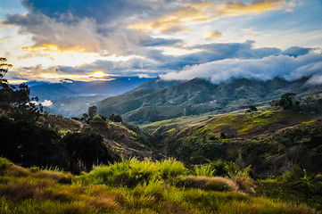 Image showing Forests at sunrise