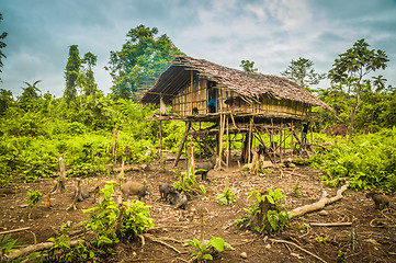 Image showing Wooden house with pigs