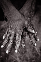 Image showing Two hands of woman