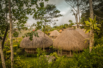 Image showing Houses in Wamena