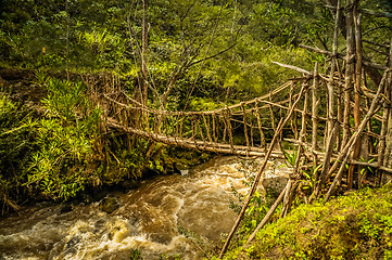 Image showing Simple bridge near wamena