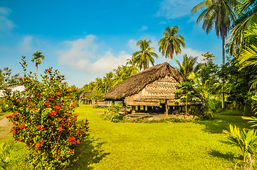 Image showing Flowers and palms