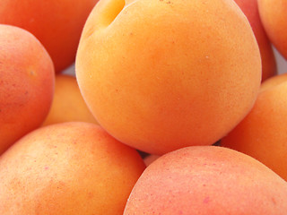 Image showing Apricots