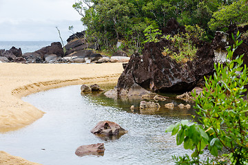 Image showing Landscape of Masoala National Park, Madagascar