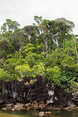 Image showing Landscape of Masoala National Park, Madagascar