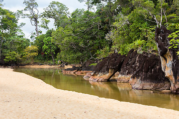 Image showing Landscape of Masoala National Park, Madagascar