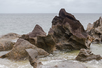 Image showing Landscape of Masoala National Park, Madagascar