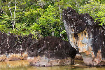 Image showing Landscape of Masoala National Park, Madagascar