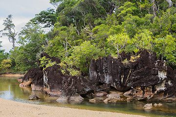 Image showing Landscape of Masoala National Park, Madagascar