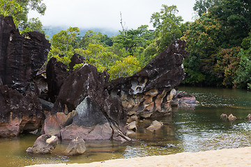 Image showing Landscape of Masoala National Park, Madagascar