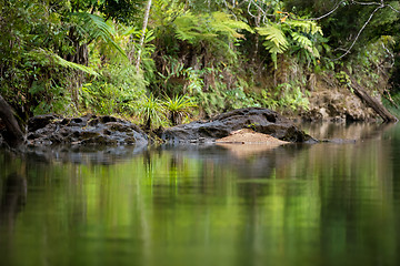 Image showing Landscape of Masoala National Park, Madagascar