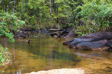 Image showing Landscape of Masoala National Park, Madagascar