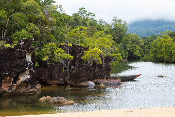 Image showing Landscape of Masoala National Park, Madagascar