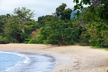 Image showing Landscape of Masoala National Park, Madagascar