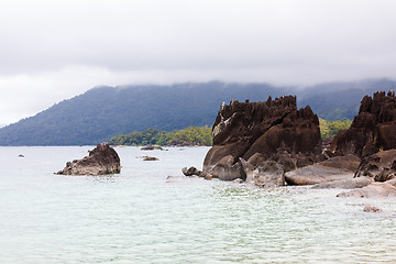 Image showing Landscape of Masoala National Park, Madagascar