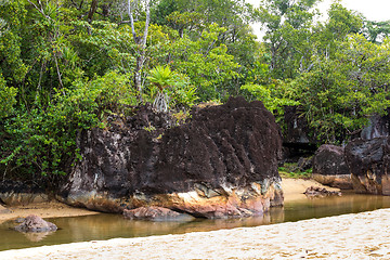 Image showing Landscape of Masoala National Park, Madagascar