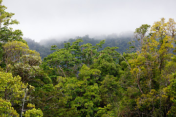 Image showing Landscape of Masoala National Park, Madagascar