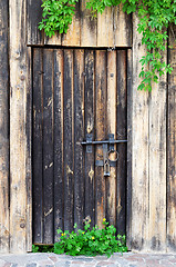 Image showing Old wooden door with vintage metal lock and green leaves of wild