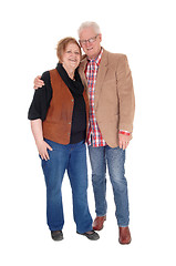 Image showing Relaxed senior couple standing.