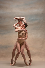 Image showing Couple of ballet dancers posing over gray background