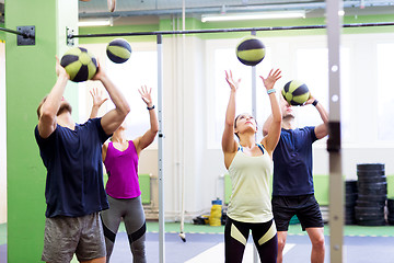 Image showing group of people with medicine ball training in gym