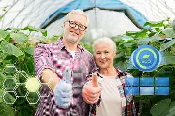 Image showing happy senior couple at farm showing thumbs up