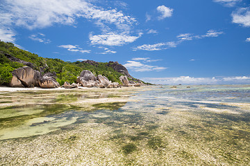 Image showing island beach in indian ocean on seychelles