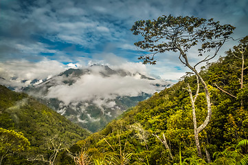 Image showing Morning fog in Wamena