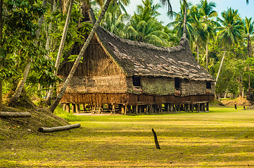 Image showing Palms and straw house