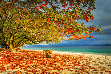 Image showing Colours on sand beach