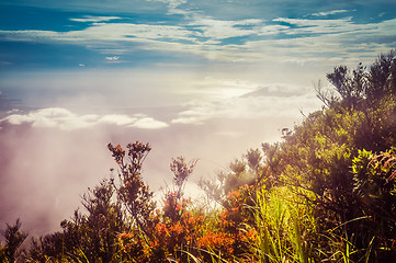 Image showing Mountains in morning