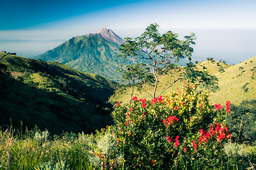 Image showing Photo of dormant stratovolcano