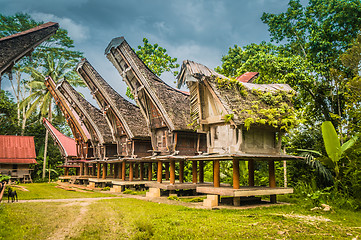 Image showing Row of ancestral houses