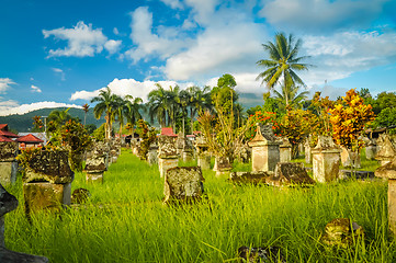 Image showing Old cemetery in Waruga
