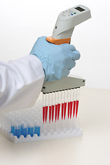 Image showing Multi channel pipette