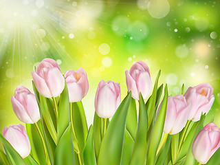 Image showing Beautiful pink tulip. EPS 10