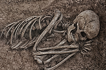 Image showing very old human skull