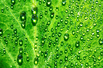 Image showing water drops background