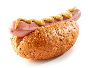 Image showing Hotdog with mustard