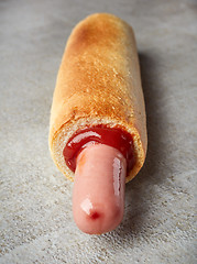 Image showing Hotdog with ketchup