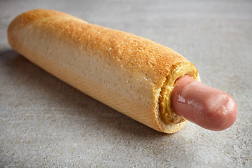 Image showing Hotdog with mustard