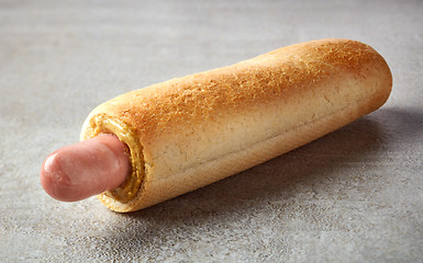 Image showing Hotdog with mustard