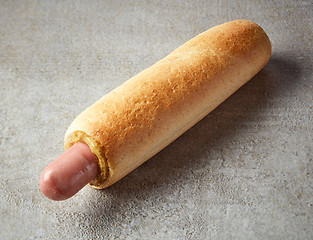 Image showing Hotdog with mustard