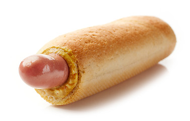 Image showing Hotdog with mustard