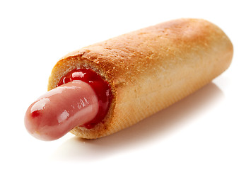 Image showing Hotdog with ketchup