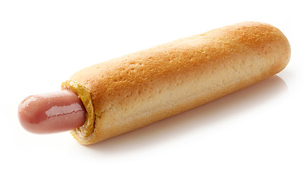 Image showing Hotdog with mustard