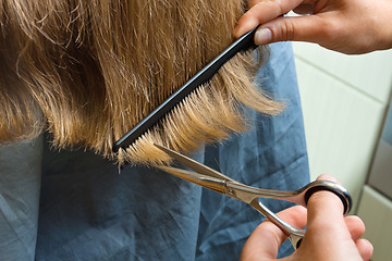 Image showing hands trimming hair with scissors