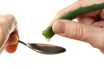 Image showing hand squeezing the juice out of a aloe vera into spoon
