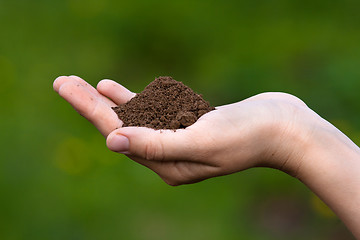 Image showing fertile soil in hands of women